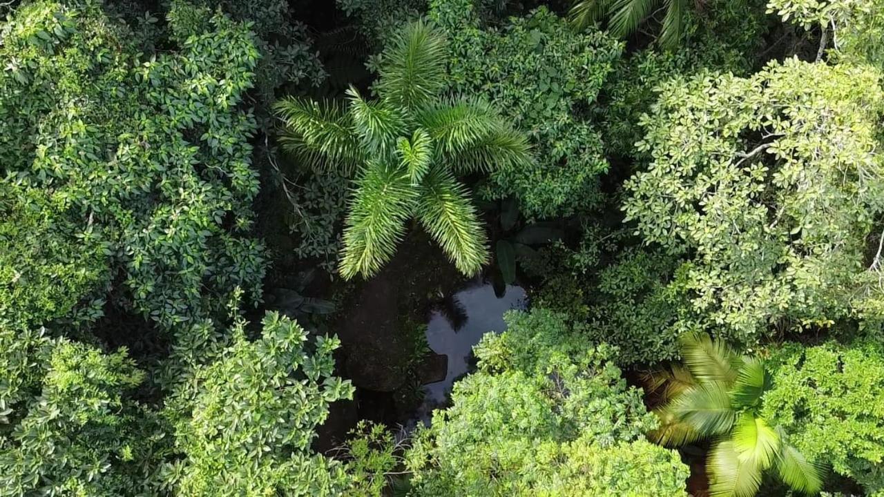 Espaco Indio Tupi Trindade  Buitenkant foto